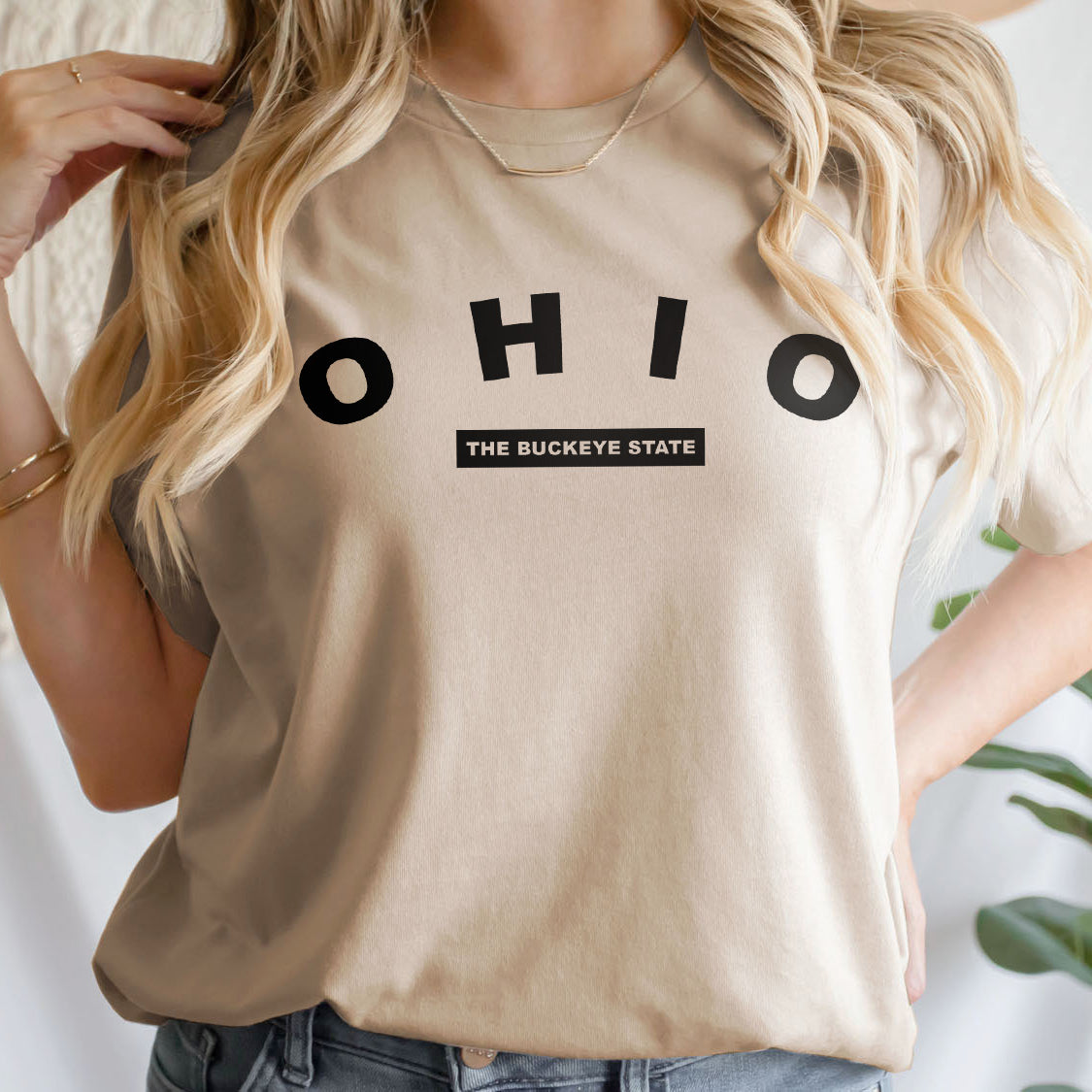 Ohio The Buckeye State T-shirt - United States Name & Slogan Minimal Design Printed Tee Shirt