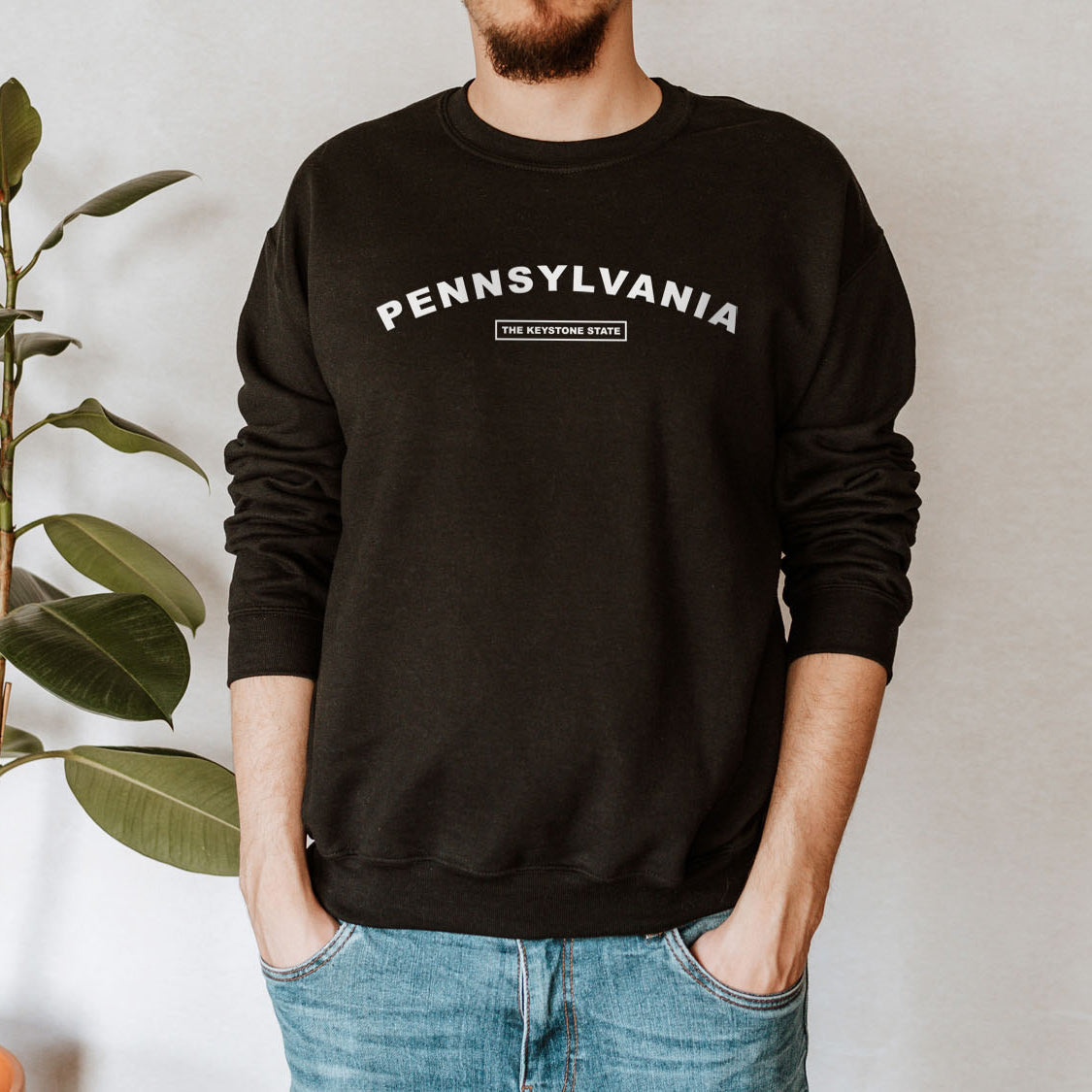 Pennsylvania The Keystone State Sweatshirt - United States Name & Slogan Minimal Design Printed Sweatshirt