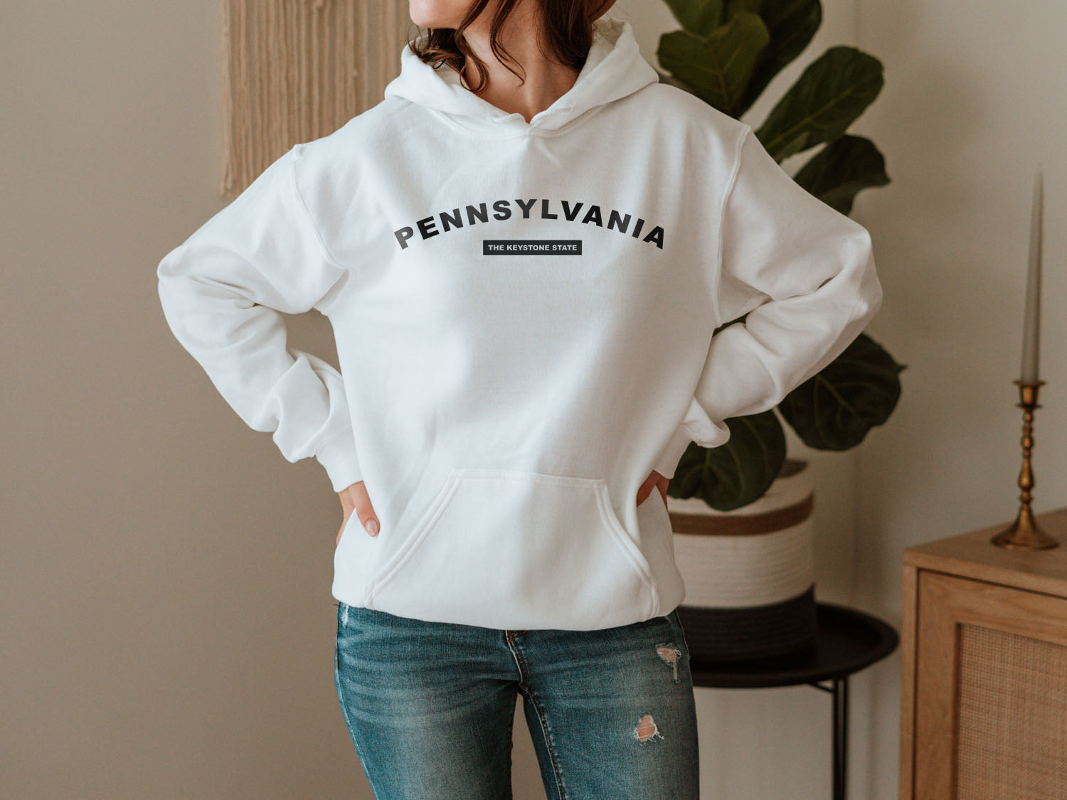 Pennsylvania The Keystone State Hoodie - United States Name & Slogan Minimal Design Printed Hoodie